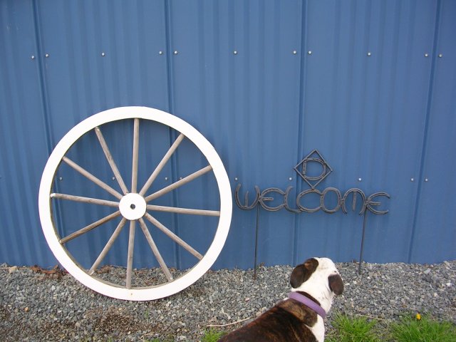 Lola in front of sign